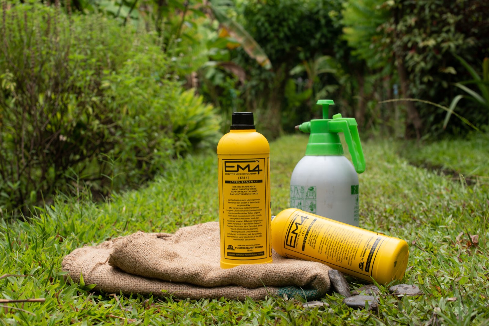 PT Songgo Langit Persada